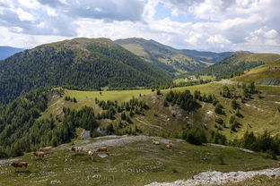 Store收取30%交易费用,app store收费标准