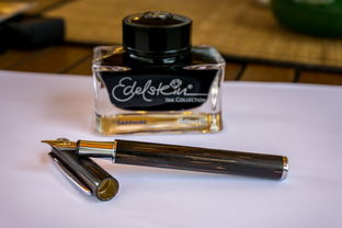 又一鱿鱼游戏项目上线!Squid,鱿鱼游戏啥游戏