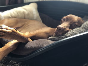 2024usdt币交易所大全,usdt各交易所价格