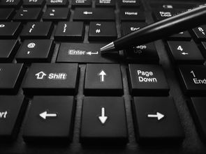 ALX官网、团队、白皮书介绍,alxeb