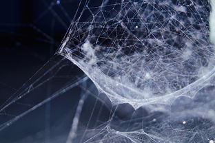 CyberBank交易所怎么样,cyberbank 交易所