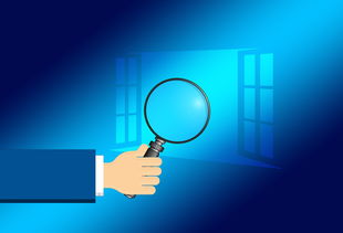 JIB币Jibbit是什么,jmb是什么币