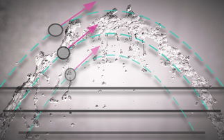 RMT官网、团队、白皮书介绍,rmt官网,团队,白皮书介绍