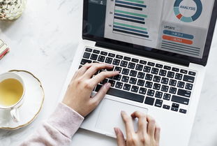 PAI币2024年前景怎么样,pai币价值