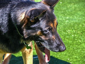 科普:去中心化钱包和银行的不同,去中心化钱包和中心化钱包的区别