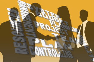 PETS币发行价格及发行时间介绍,pets百科