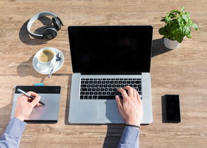 PYN币Paycent是什么,pyc是什么货币