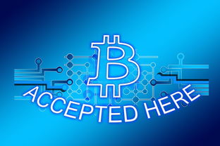 EKO币官网总量和上线交易平台介绍,eko币官网总量和上线交易平台介绍